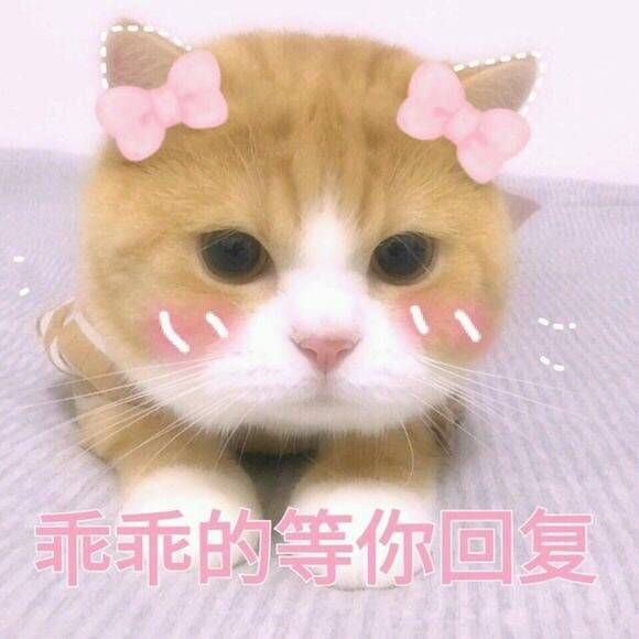 求平价好看点的钱包卡包