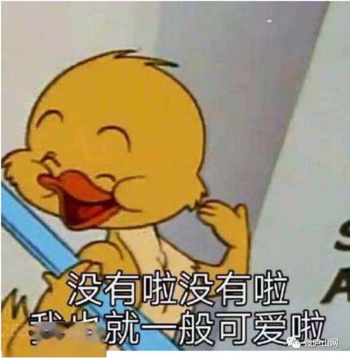 别以为都是晴天了,庐山市还要下这么多天的雨