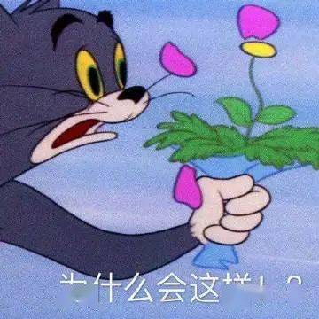 喜欢or合适,你会怎么选