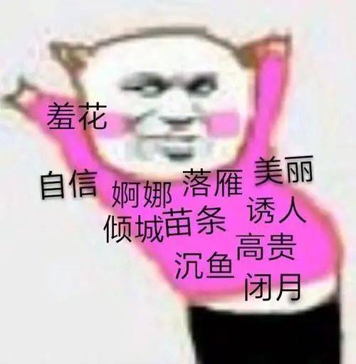 100的表情包聊天表情