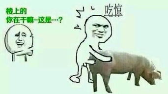 火腿肠可以生吃吗