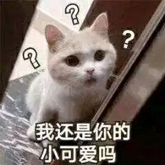 她生气了,哄对象表情包送给大家,请记得打开查收,你肯定用得上