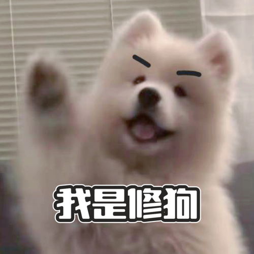 怎么把视频变为表情包表情包