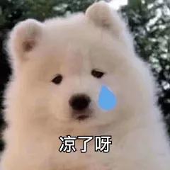 出国留学必备黑话指南