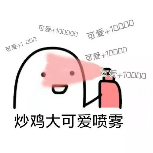 我的收藏