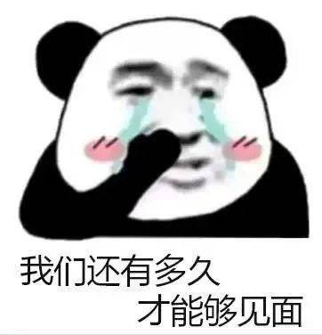 你们的表情包大户上线了快来存图