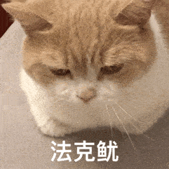 猫快给我学狗叫丨第95期喵表情