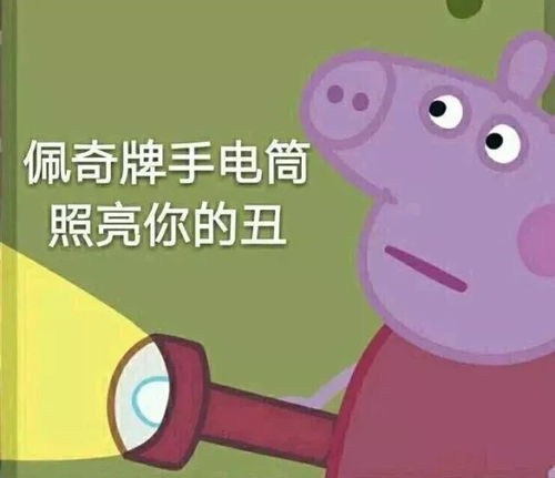 2017年度表情包大赏假笑boy边缘试探.南宁人你最爱的是