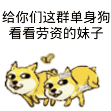 七夕,最最最奇葩的礼物是什么