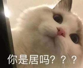 如果只能带一支口红出门,你选番茄色还是血橙色