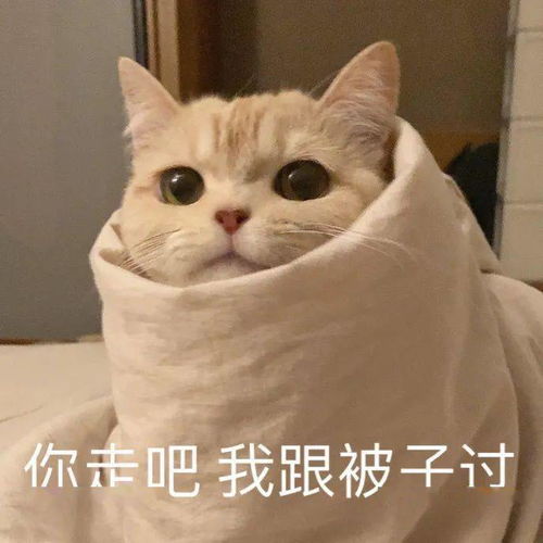 寒流突袭,一夜入冬你开始穿秋裤了吗