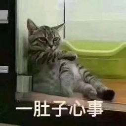 练不出腹肌这5个最常见练腹动作你全做错了干货