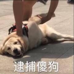 今天的朋友圈文案有点皮哦
