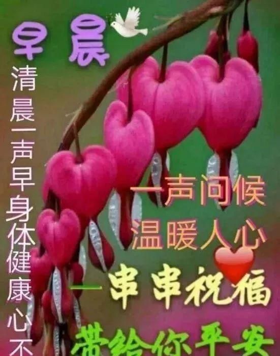 最新版微信早安正能量问候语,早上好的漂亮表情图片