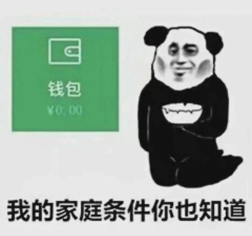 注意了有人悬赏4000,寻找西澳羽毛球大魔王自信你就来