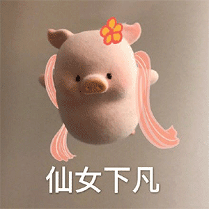 搞笑的表情包文案动态汪仔