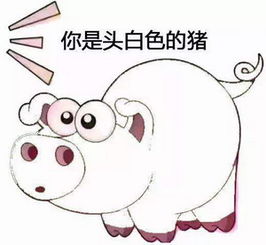 表情包,抖音七彩猪表情包gif动图