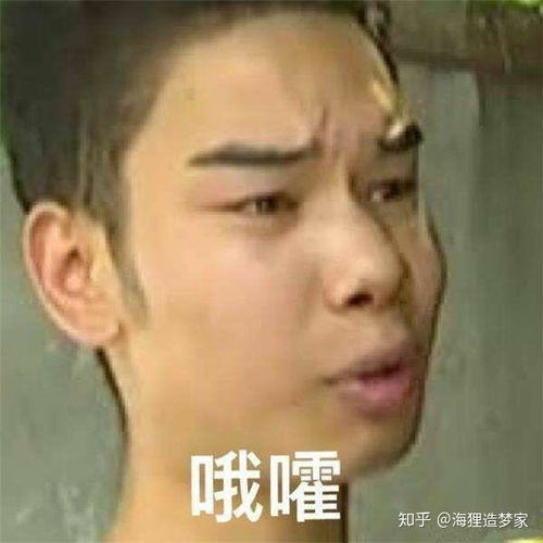 民宿概念模糊的当下,到底什么才是真民宿