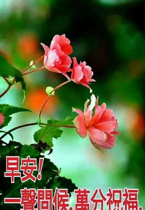2021年春季早安祝福语春季早上好祝福语阳光句子