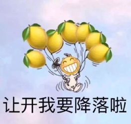 因为你瘦的时候住在了我心里,胖了就卡住了,出不来了...
