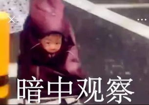 青岛人风已就位期盼已久的大雨已在路上