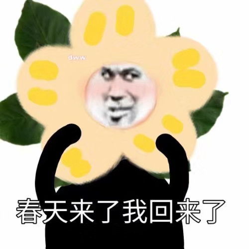 沙雕熊猫头表情包