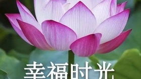 三年抗痘史祛痘经验分享真正有效果的产品推荐