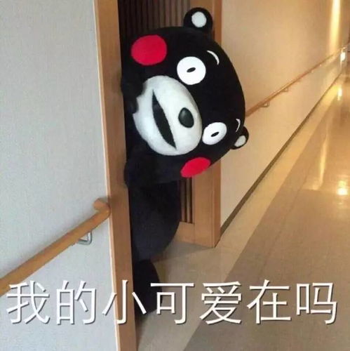 带教榜样继师之言,行师之路带教故事征集获奖名单出炉