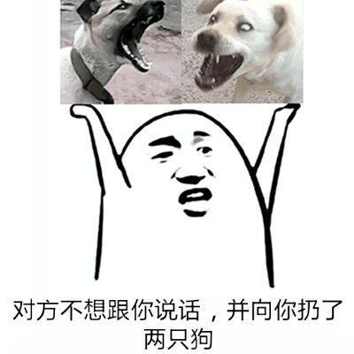 一组超傻的沙雕表情图我信你个鬼,你个糟老娘们坏得很