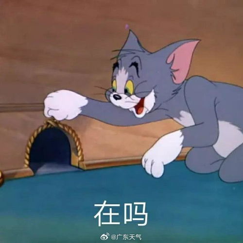 广东天气会商开始了