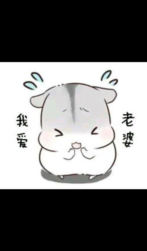 在老公怀里蹭的表情包宝宝