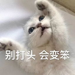 不舍得国庆