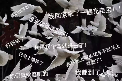 大降温阆中最低气温仅6度还有一个重要提醒...