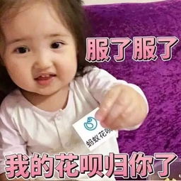 仙女下凡啦表情包小刚