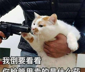 爆笑段子我们不约而同,再不愿意见面了老婆