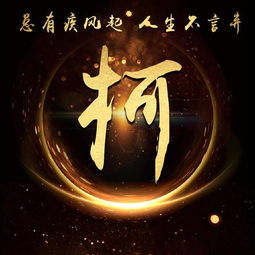 超炫金色霸气励志姓氏微信头像总有疾风起,人生不言弃