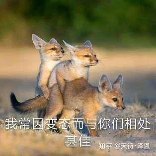湘西赶尸是怎样的