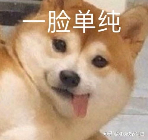 最新表情包图片我面前这个人,一脸单纯的看着我说,好喜欢你