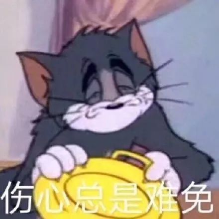 斗图小表情11.27