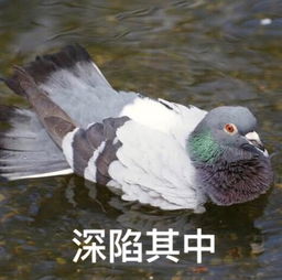 那些年,我们一起过的游戏