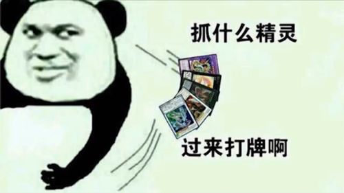 游戏王打牌必备表情包内容太真实,建议聊天框可以发送图片