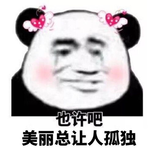 我的收藏