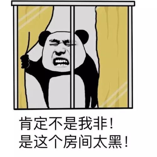护符技能还能要啥洗啥这样的技能哪里学