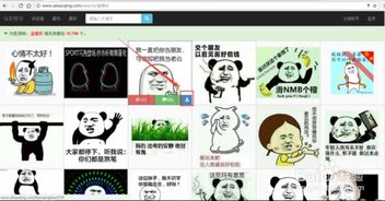 怎么找表情包