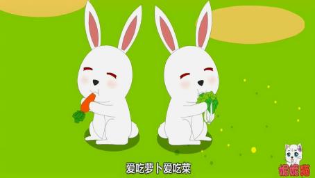 表情小白兔白又白歌曲,沁人心扉好看视频表情
