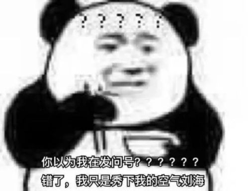 表情包你以为我在发问号错了,我只是秀下我的空气刘海