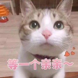 聊天表情包终于集齐了边缘试探的表情包兴趣部落