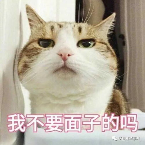 社恐真实表现我怕说错一句话,让你以为我想继续聊天