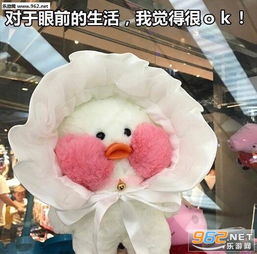 人家超可爱玻尿酸鸭表情包图片今天也是精致的鸭鸭玻尿酸小黄鸭表情包下载乐游网游戏下载