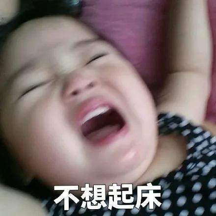 3分钟冲泡即食,好吃无腹担,早餐再也不用饿肚子